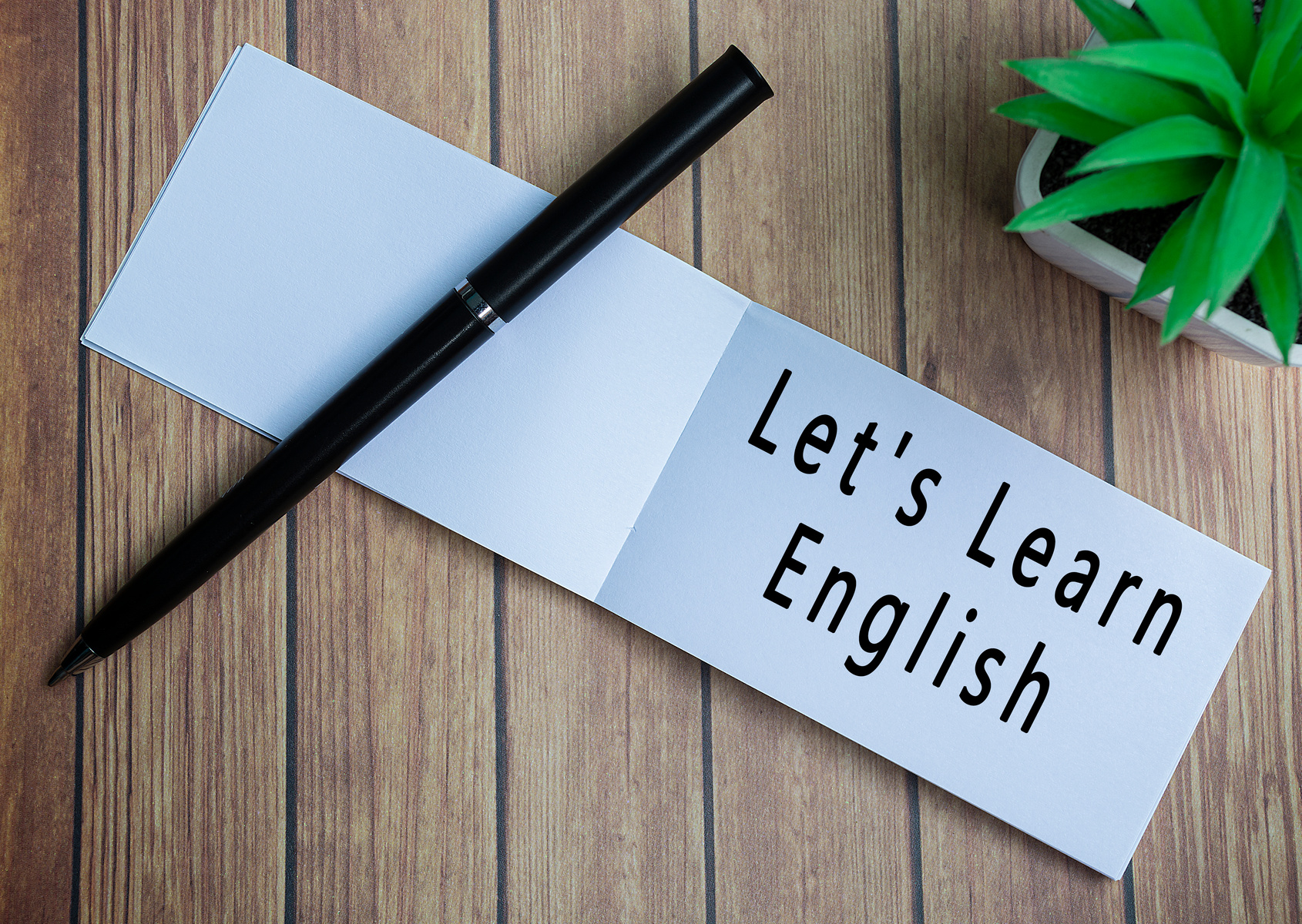 Lets learn english text on notepad with potted plant on a wo